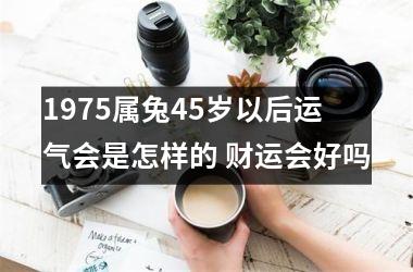 1975属兔45岁以后运气会是怎样的 财运会好吗