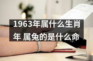 1963年属什么生肖年 属兔的是什么命