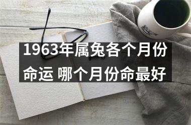 1963年属兔各个月份命运 哪个月份命好