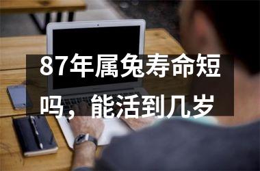 <h3>87年属兔寿命短吗，能活到几岁