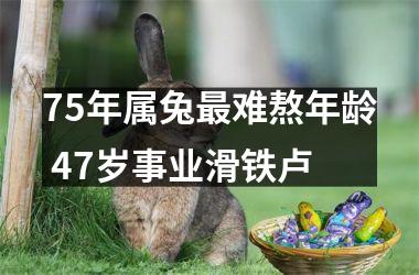 75年属兔更难熬年龄 47岁事业滑铁卢