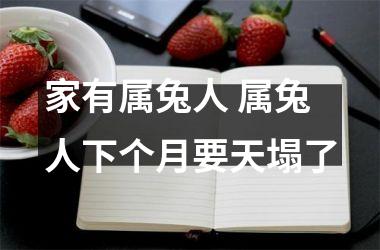 家有属兔人 属兔人下个月要天塌了