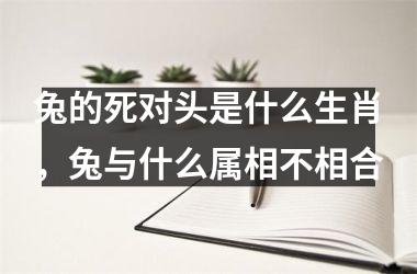 兔的死对头是什么生肖，兔与什么属相不相合