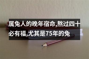 属兔人的晚年宿命,熬过四十必有福,尤其是75年的兔