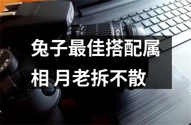 <h3>兔子佳搭配属相 月老拆不散
