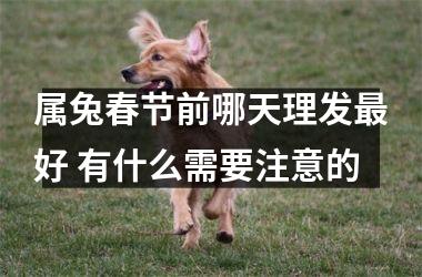 属兔春节前哪天理发好 有什么需要注意的
