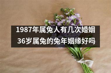 1987年属兔人有几次婚姻 36岁属兔的兔年姻缘好吗