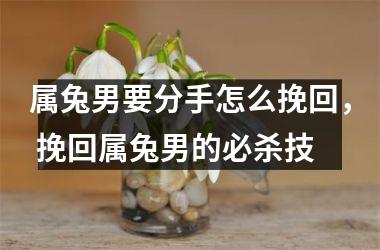 属兔男要分手怎么挽回， 挽回属兔男的必杀技