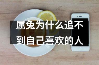 属兔为什么追不到自己喜欢的人
