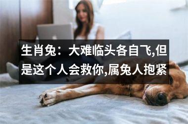 生肖兔：大难临头各自飞,但是这个人会救你,属兔人抱紧