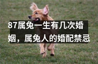 87属兔一生有几次婚姻，属兔人的婚配禁忌