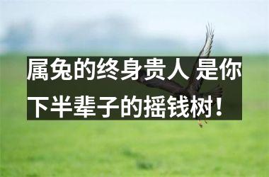 属兔的终身贵人 是你下半辈子的摇钱树！
