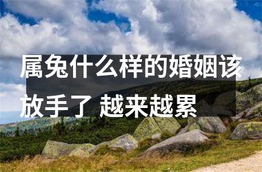 属兔什么样的婚姻该放手了 越来越累