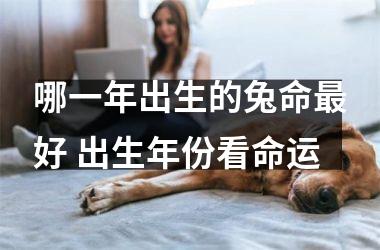 哪一年出生的兔命好 出生年份看命运