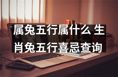 属兔五行属什么 生肖兔五行喜忌查询