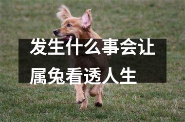 发生什么事会让属兔看透人生