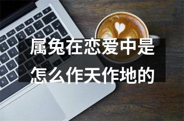 属兔在恋爱中是怎么作天作地的
