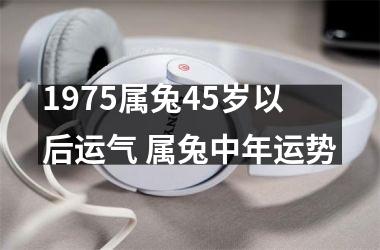 1975属兔45岁以后运气 属兔中年运势