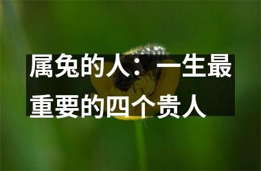 属兔的人：一生重要的四个贵人