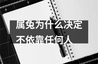 <h3>属兔为什么决定不依靠任何人