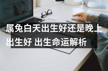 <h3>属兔白天出生好还是晚上出生好 出生命运解析