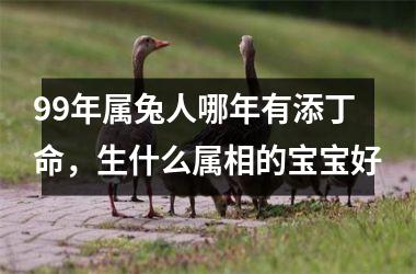 99年属兔人哪年有添丁命，生什么属相的宝宝好