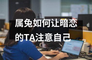 属兔如何让暗恋的TA注意自己
