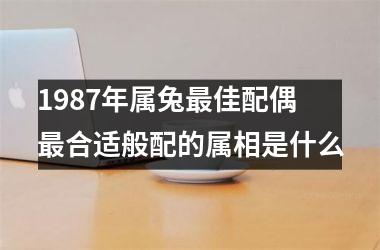 1987年属兔佳配偶 合适般配的属相是什么