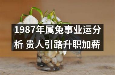 1987年属兔事业运分析 贵人引路升职加薪