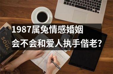 1987属兔情感婚姻 会不会和爱人执手偕老？
