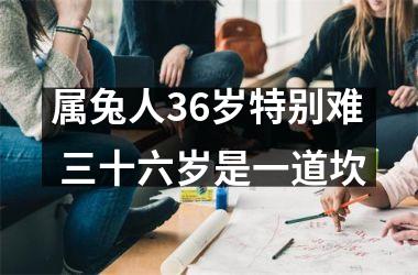 属兔人36岁特别难 三十六岁是一道坎