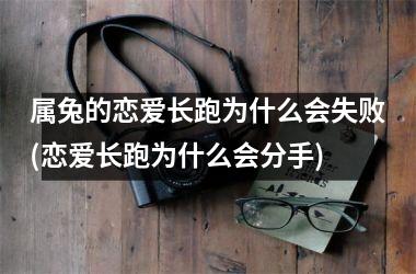 属兔的恋爱长跑为什么会失败(恋爱长跑为什么会分手)