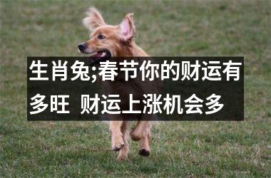 生肖兔;春节你的财运有多旺  财运上涨机会多