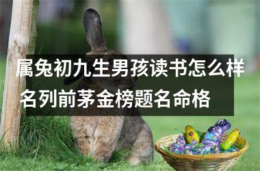 属兔初九生男孩读书怎么样 名列前茅金榜题名命格