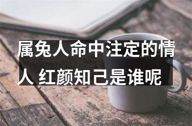 属兔人命中注定的情人 红颜知己是谁呢