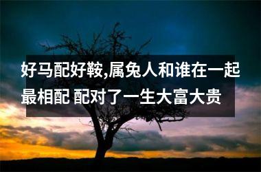 好马配好鞍,属兔人和谁在一起相配 配对了一生大富大贵