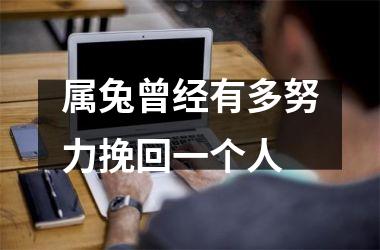 属兔曾经有多努力挽回一个人