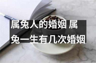 属兔人的婚姻 属兔一生有几次婚姻