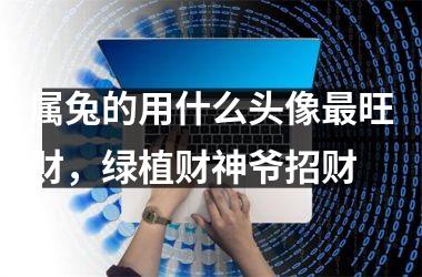 属兔的用什么头像旺财，绿植财神爷招财