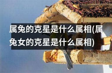 属兔的克星是什么属相(属兔女的克星是什么属相)