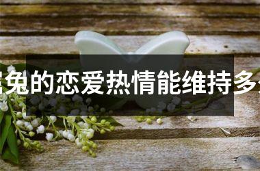 属兔的恋爱热情能维持多久
