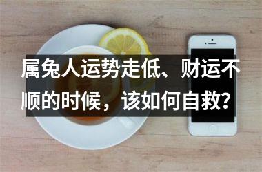 属兔人运势走低、财运不顺的时候，该如何自救？