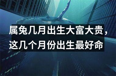 属兔几月出生大富大贵，这几个月份出生好命