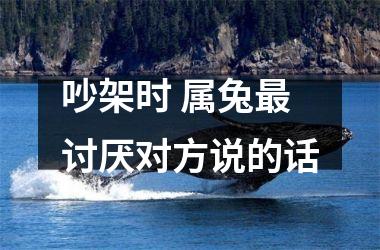 吵架时 属兔讨厌对方说的话
