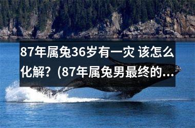 87年属兔36岁有一灾 该怎么化解？(87年属兔男终的婚姻结果)