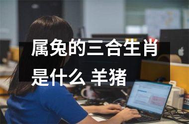 <h3>属兔的三合生肖是什么 羊猪