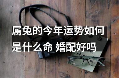 属兔的今年运势如何 是什么命 婚配好吗