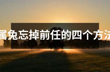 属兔忘掉前任的四个方法