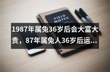 1987年属兔36岁后会大富大贵，87年属兔人36岁后运势