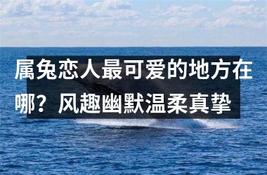 属兔恋人可爱的地方在哪？风趣幽默温柔真挚